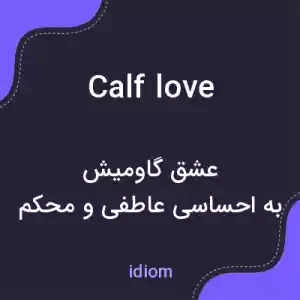 معنی calf love به فارسی معنی calf love به فارسی