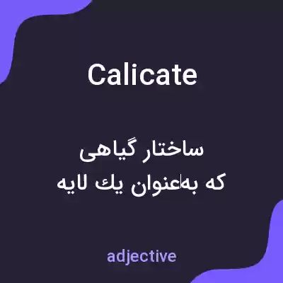معنی calicate به فارسی معنی calicate به فارسی