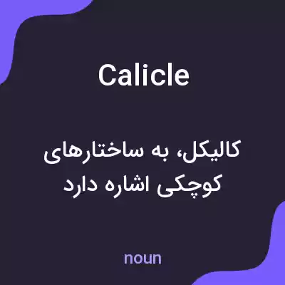 معنی calicle به فارسی معنی calicle به فارسی