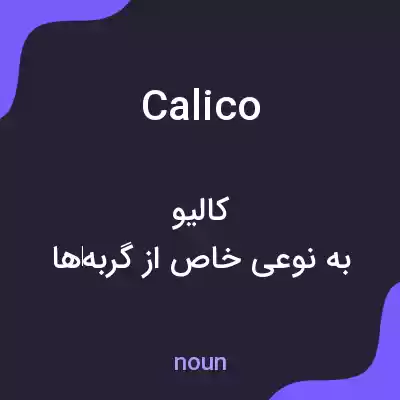معنی calico به فارسی