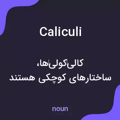 معنی caliculi به فارسی معنی caliculi به فارسی