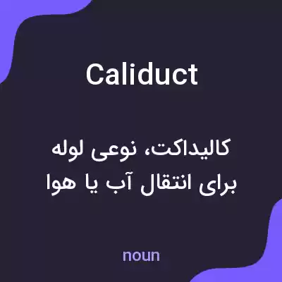 معنی caliduct به فارسی معنی caliduct به فارسی