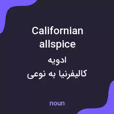 معنی californian allspice به فارسی
