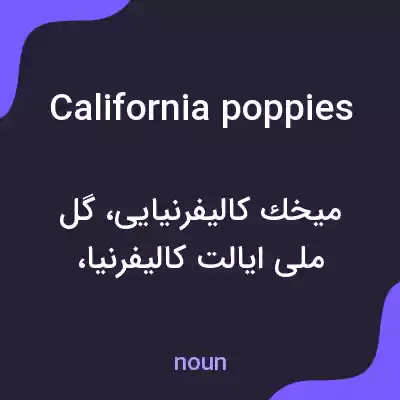 معنی california poppies به فارسی معنی california poppies به فارسی