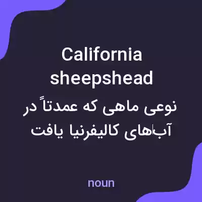 معنی california sheepshead به فارسی