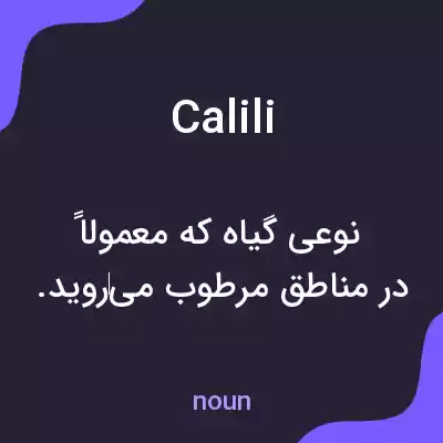 معنی calili به فارسی معنی calili به فارسی