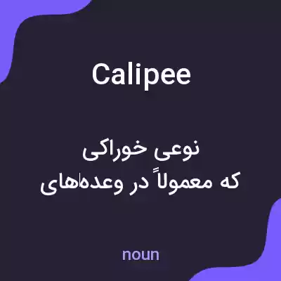 معنی calipee به فارسی معنی calipee به فارسی