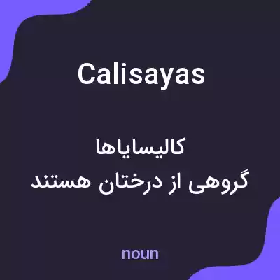 معنی calisayas به فارسی معنی calisayas به فارسی