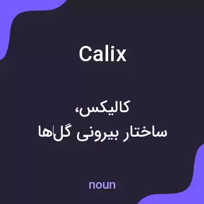 معنی calix به فارسی معنی calix به فارسی