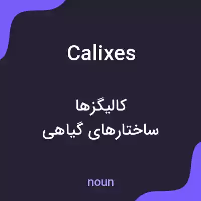 معنی calixes به فارسی معنی calixes به فارسی
