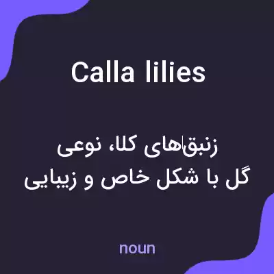 معنی calla lilies به فارسی معنی calla lilies به فارسی