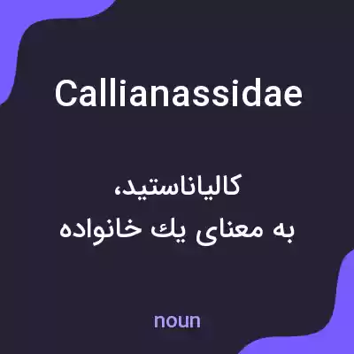 معنی callianassidae به فارسی