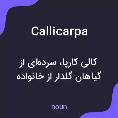 معنی callicarpa به فارسی معنی callicarpa به فارسی