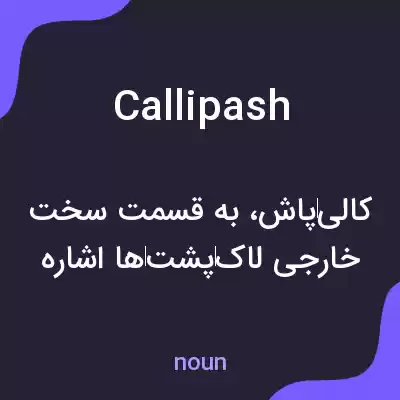 معنی callipash به فارسی معنی callipash به فارسی