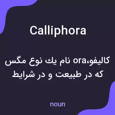 معنی calliphora به فارسی معنی calliphora به فارسی