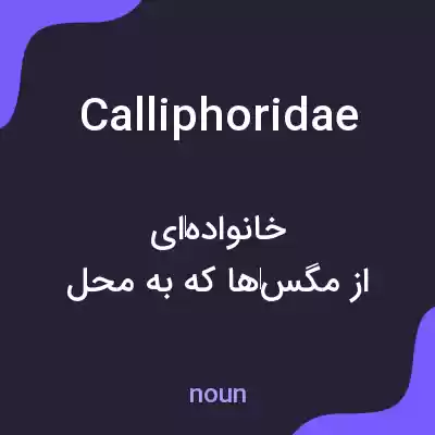 معنی calliphoridae به فارسی معنی calliphoridae به فارسی