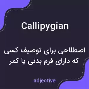 معنی callipygian به فارسی معنی callipygian به فارسی