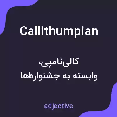 معنی callithumpian به فارسی معنی callithumpian به فارسی