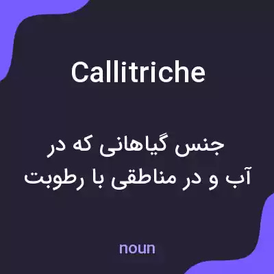 معنی callitriche به فارسی معنی callitriche به فارسی