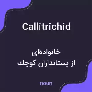 معنی callitrichid به فارسی معنی callitrichid به فارسی