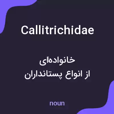 معنی callitrichidae به فارسی معنی callitrichidae به فارسی
