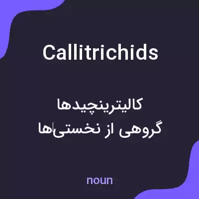 معنی callitrichids به فارسی معنی callitrichids به فارسی