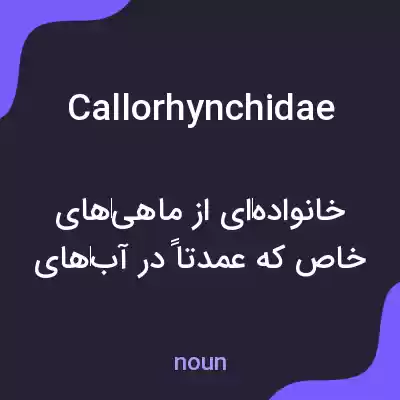 معنی callorhynchidae به فارسی
