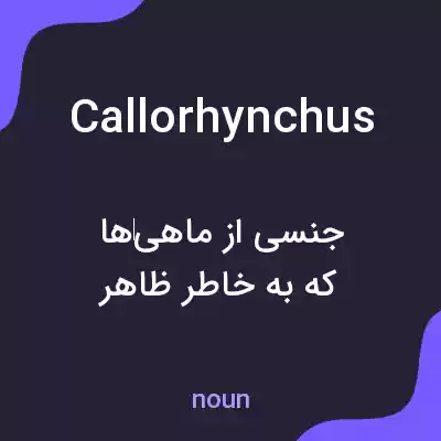 معنی callorhynchus به فارسی