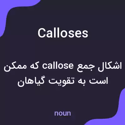 معنی calloses به فارسی معنی calloses به فارسی