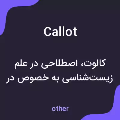 معنی callot به فارسی معنی callot به فارسی