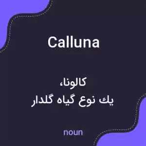 معنی calluna به فارسی معنی calluna به فارسی