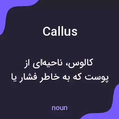 معنی callus به فارسی معنی callus به فارسی