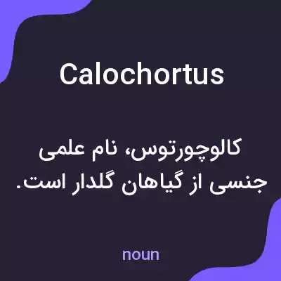 معنی calochortus به فارسی معنی calochortus به فارسی