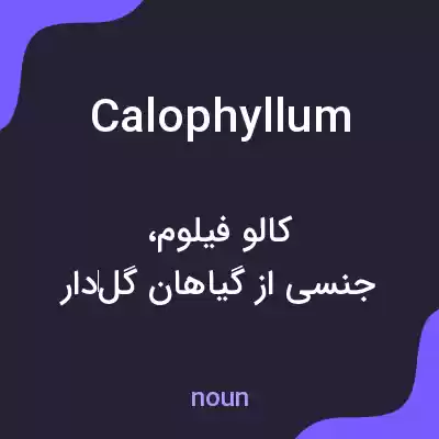معنی calophyllum به فارسی معنی calophyllum به فارسی