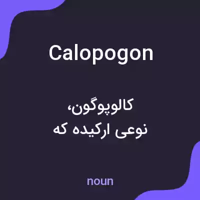 معنی calopogon به فارسی معنی calopogon به فارسی