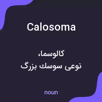 معنی calosoma به فارسی معنی calosoma به فارسی