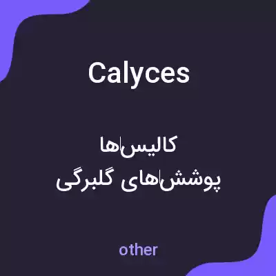 معنی calyces به فارسی معنی calyces به فارسی