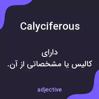 معنی calyciferous به فارسی معنی calyciferous به فارسی