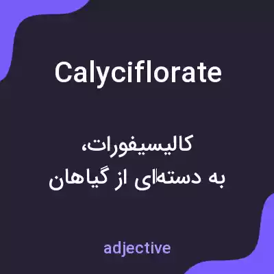 معنی calyciflorate به فارسی معنی calyciflorate به فارسی
