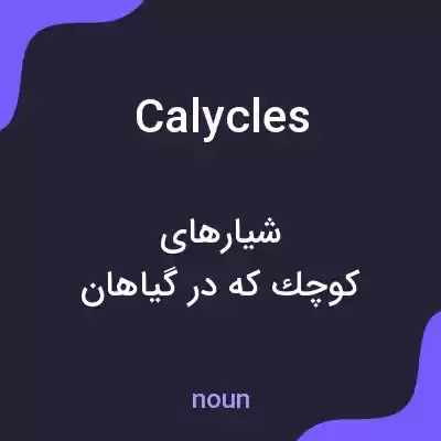 معنی calycles به فارسی معنی calycles به فارسی
