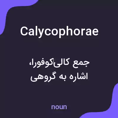 معنی calycophorae به فارسی