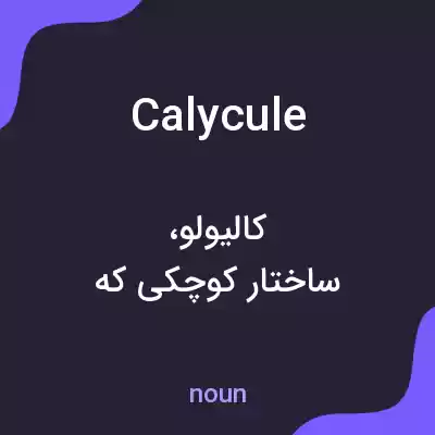 معنی calycule به فارسی معنی calycule به فارسی
