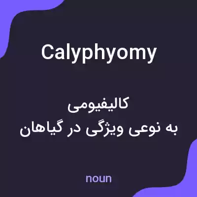 معنی calyphyomy به فارسی معنی calyphyomy به فارسی