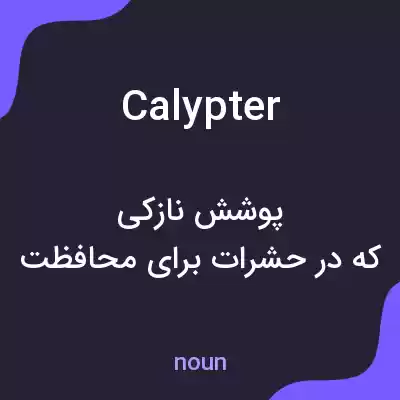 معنی calypter به فارسی معنی calypter به فارسی
