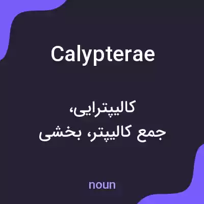 معنی calypterae به فارسی معنی calypterae به فارسی