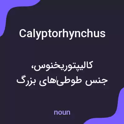 معنی calyptorhynchus به فارسی معنی calyptorhynchus به فارسی