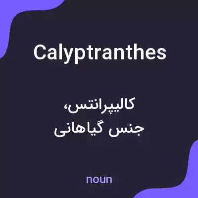 معنی calyptranthes به فارسی معنی calyptranthes به فارسی