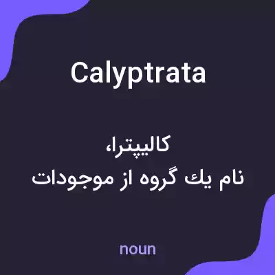 معنی calyptrata به فارسی معنی calyptrata به فارسی