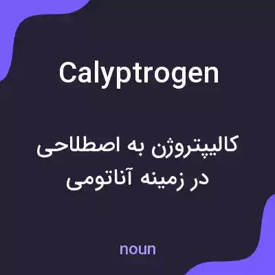 معنی calyptrogen به فارسی معنی calyptrogen به فارسی