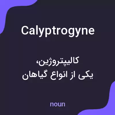 معنی calyptrogyne به فارسی معنی calyptrogyne به فارسی